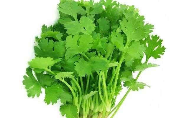  吃不完|阳台种这几样菜，天天有菜摘，吃都吃不完！