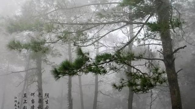 钟祥及周边300多家景点免费或半价！不知道就太亏了