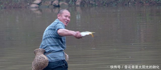 一条鱼要养好几年农民稻田养鱼两不误！