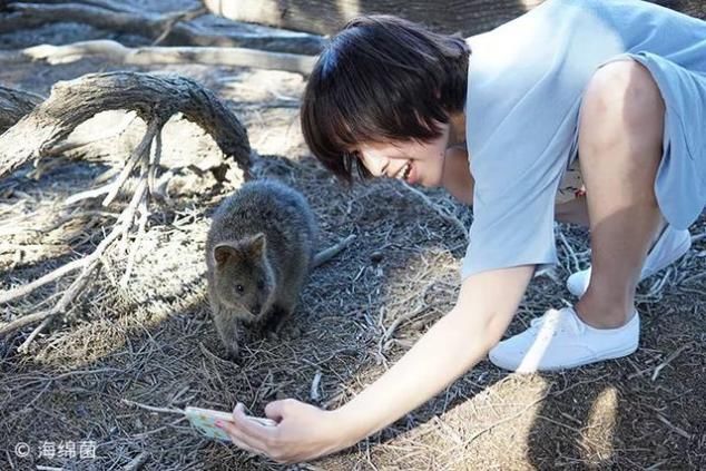 2020年最大的心愿