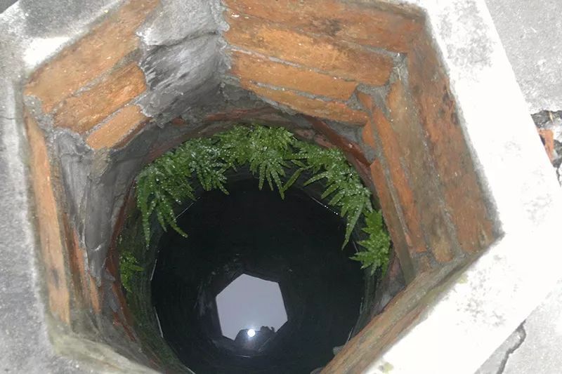 农村井口边一种野草，过去农民当柴烧，如今稀罕少见，遇到请珍惜