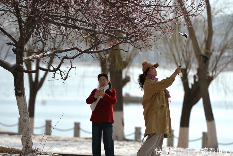 气温大跳水三天换“四季”：东北26℃高温过后连降雪