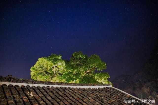 【空谷幽兰】烟雨花香又一春