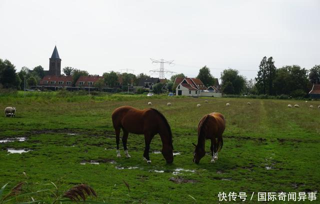 高度发达国家的农村风景——荷兰农村是这个样子的