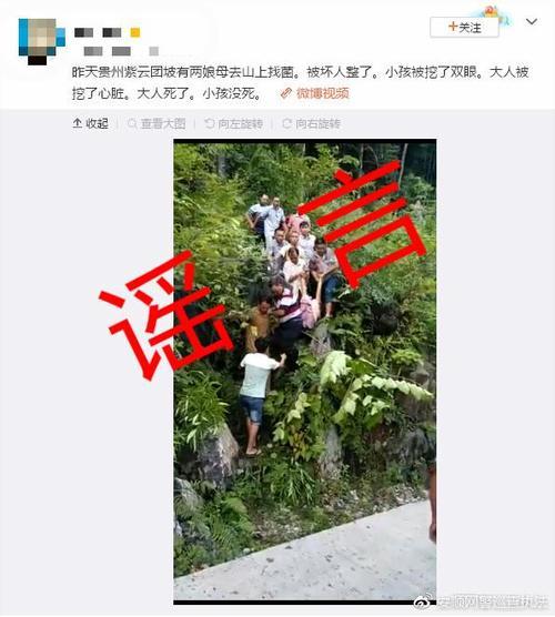 大人孩子上山采蘑菇,被挖肾挖眼?这条谣言又来兴风作浪了!