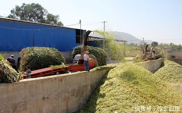  转型|在农村，想发家不能靠种地，这3行是赚钱“捷径”，想转型