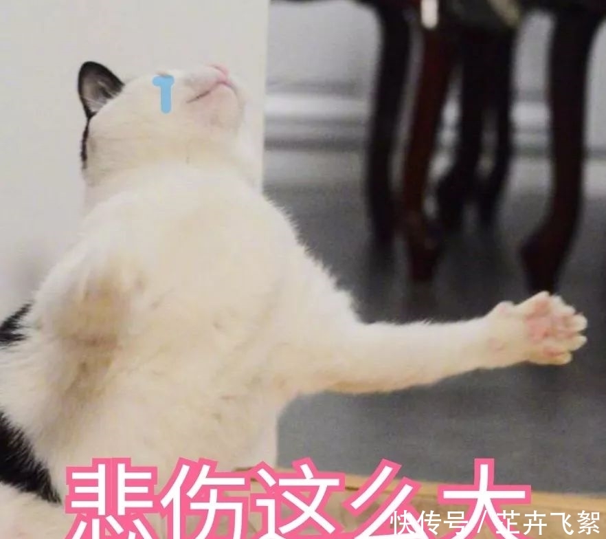  「台风」下雪了？！下半年影响范围最广冷空气将来袭，杭州气温