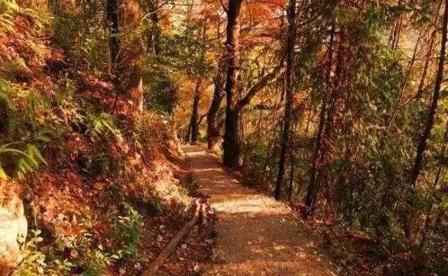 浙江不只有江南烟雨,这10个地方藏着浙江的绝美秋景