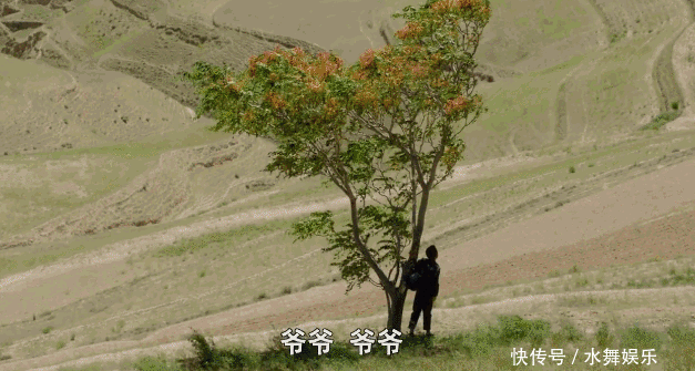  #吴先生#被票房打脸两次的国产“烂片”，治愈无数虚伪的成年人