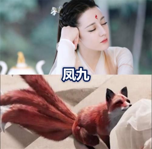 『凤九』凤九的真身，旭凤的真身，紫萱的真身，看到白浅：难怪夜华这么爱