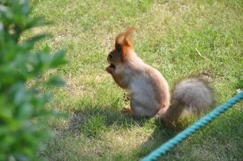 去公园的去公园