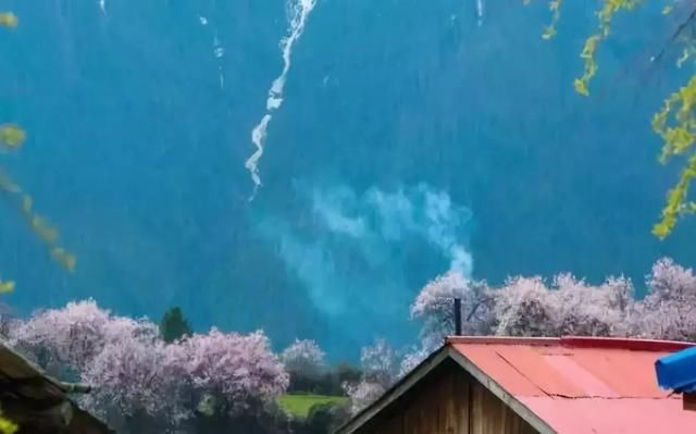 全国最大桃花基地！万亩花开成海，还不要门票！