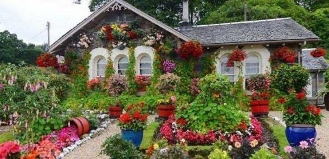 苏格兰一老人花16年时间，打造童话般花园，半夜经常听到拍照声