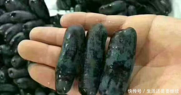 这农民种果中珍品1年赚100万 果15元1斤 亩产5000斤