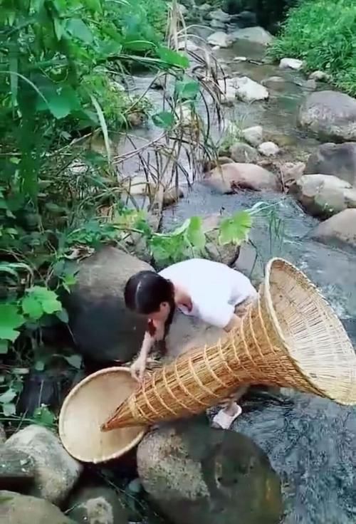  [鱼儿]老祖宗留下来的捕鱼工具，野生小鱼一旦钻进去就出不来了
