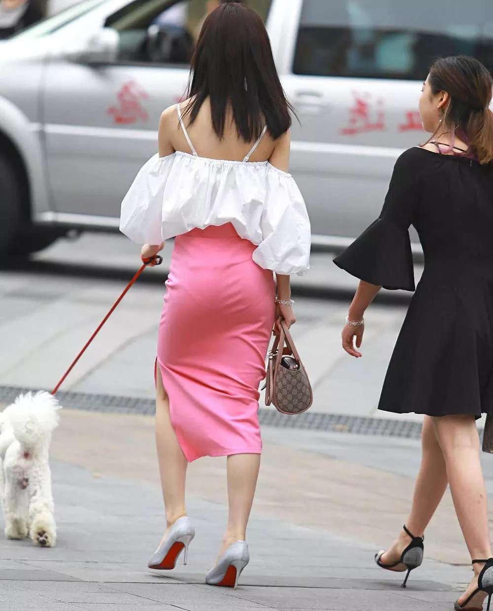 街拍美女和她的小宠物狗