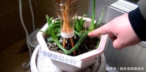 【让我们一起】瓶盖上戳2个洞插根筷子,这个作用太牛了,学会一年能省好几百