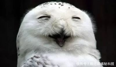  『开心』轻松笑话，每天都要更开心一点