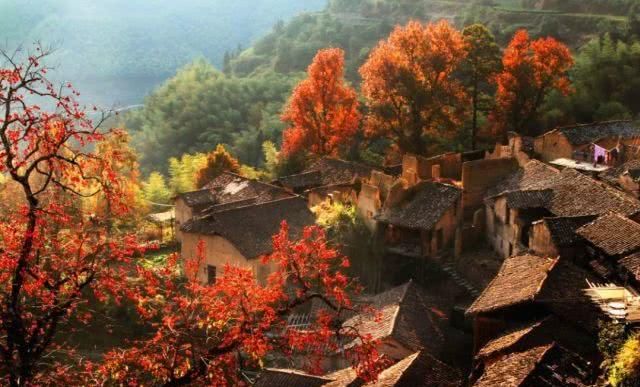 浙江不只有江南烟雨,这10个地方藏着浙江的绝美秋景