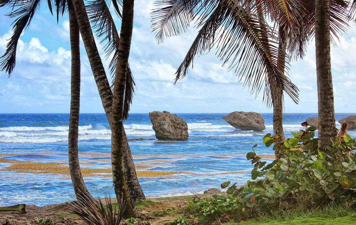 世界唯一黑人发达国家：全国80%黑人，却与韩国一同成发达国家