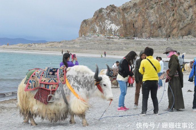 这个湖泊有上亿公斤的鱼，却没人敢捕捞！