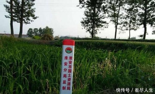  用总体规划@在永久基本农田上，种树、挖塘、养鱼、修路，会导致