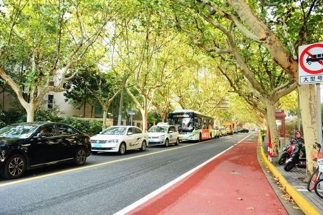 上海这条马路号称第一花园马路，哥伦比亚风情，连总统都爱!