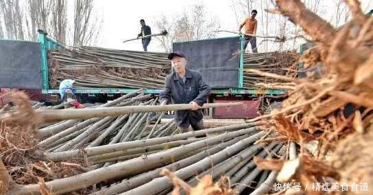 我国投资数亿，对塔克拉玛干沙漠进行植树造林，如今成了这样