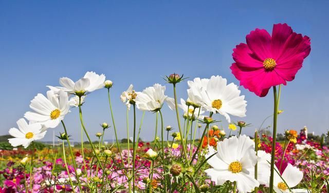  十全十美：2019退休族新标准，你达标了吗？