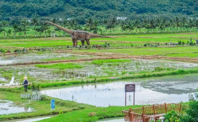 中国田园版侏罗纪：大型“恐龙”惊现袁隆平水稻试验田