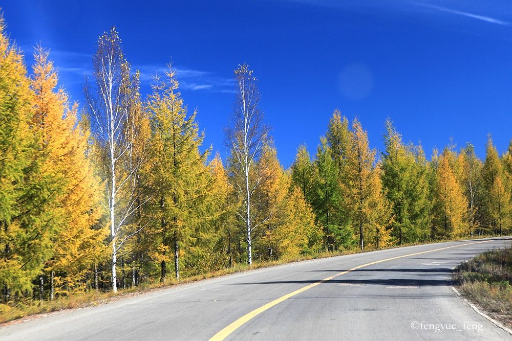 大兴安岭特大火灾澳洲火灾
