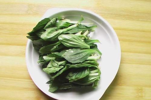 「春天」出门就可见的植物,春天人人爱吃的野菜,营养价值高