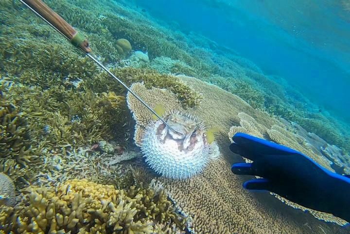 我心中向往的天堂，西沙群岛潜水、海钓、露营