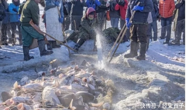 一条草鱼竟卖出85万元，到底是为啥呢？