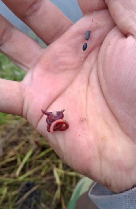  [钓友]老钓友们怎么越来越“小气”了？等你经历过这些事，你比他更小气