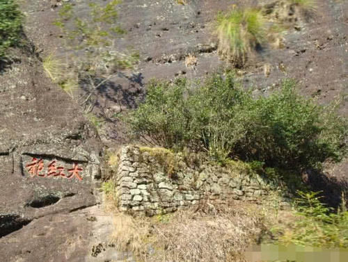 世界上非常牛的5棵树，一棵在中国价值超1亿，更常出现在电影里