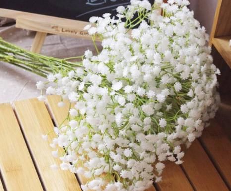  『小花』此5款小花最好养，花朵粉嫩丰腴，娇憨可爱，阳台变百花园，大气