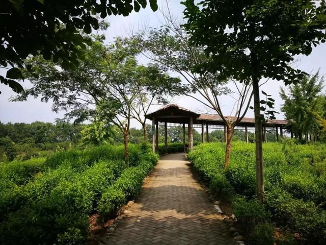 河南这个湖要火!游客纷纷来吃鱼!景色绝美,竟不输千岛湖!