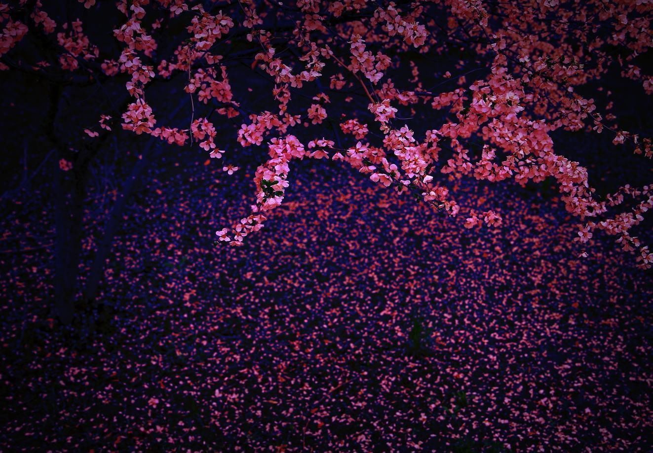 『雨点将画面晕染成』一场春雨一场暖,春雨怎么拍才有味这些作品给你灵感