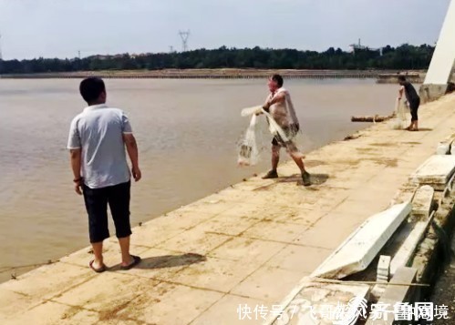 险！水位下降 寿光弥河迎来了这些“不速之客”