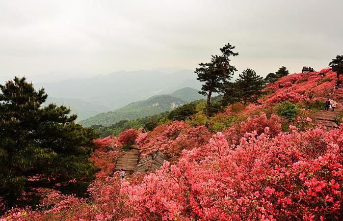 冬季最值得去的地方，你想要的北国风光，它都能给