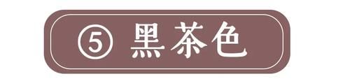  [低调]巨巨巨洋气的8款神仙发色！染完堪比换头，显白十级！