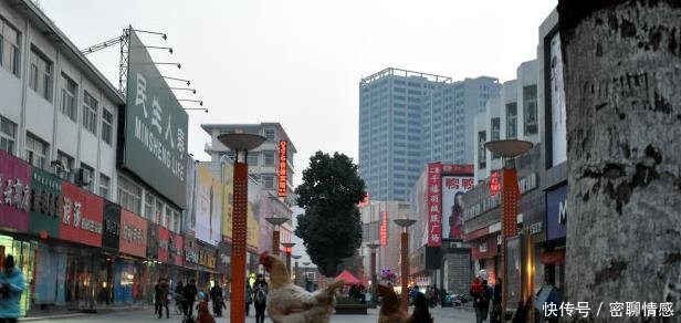  「落榜」河南最适宜居住的城市，连续八年入选，郑州南阳落榜，