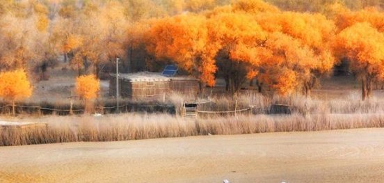 中国最“神秘”的村庄，被世界遗忘的他们，是沙漠里的隐居者！