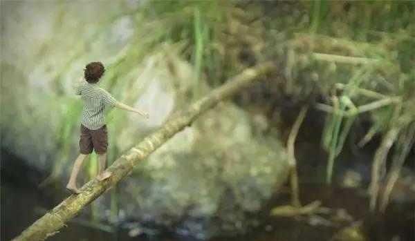 8岁开始摄影，没上过一天学的他，天才创作已超过2亿次点击