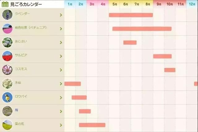 日本母亲牧场 年收入2亿的运营心得：“有意思比有意义更重要”