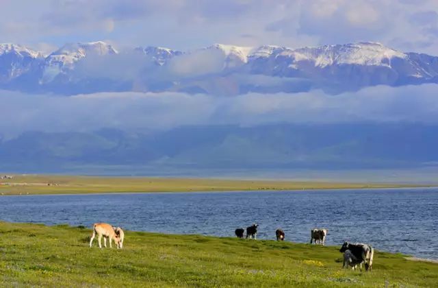 九月的新疆逼疯摄影师，勾走了你的魂
