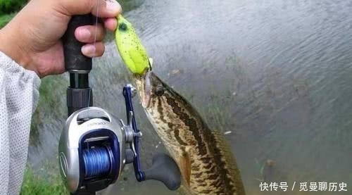  「海竿拟饵钓」户外钓黑鱼，选对钓鱼方法，不愁黑鱼不上钩