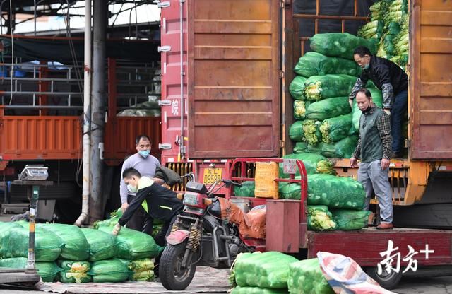  批发市场|江门“菜篮子”供应如何？批发市场走一趟