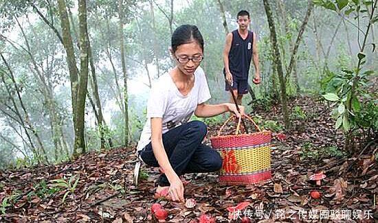  红菇■一斤超1000元，有人吃不起，有人不敢吃，市场缺口很大